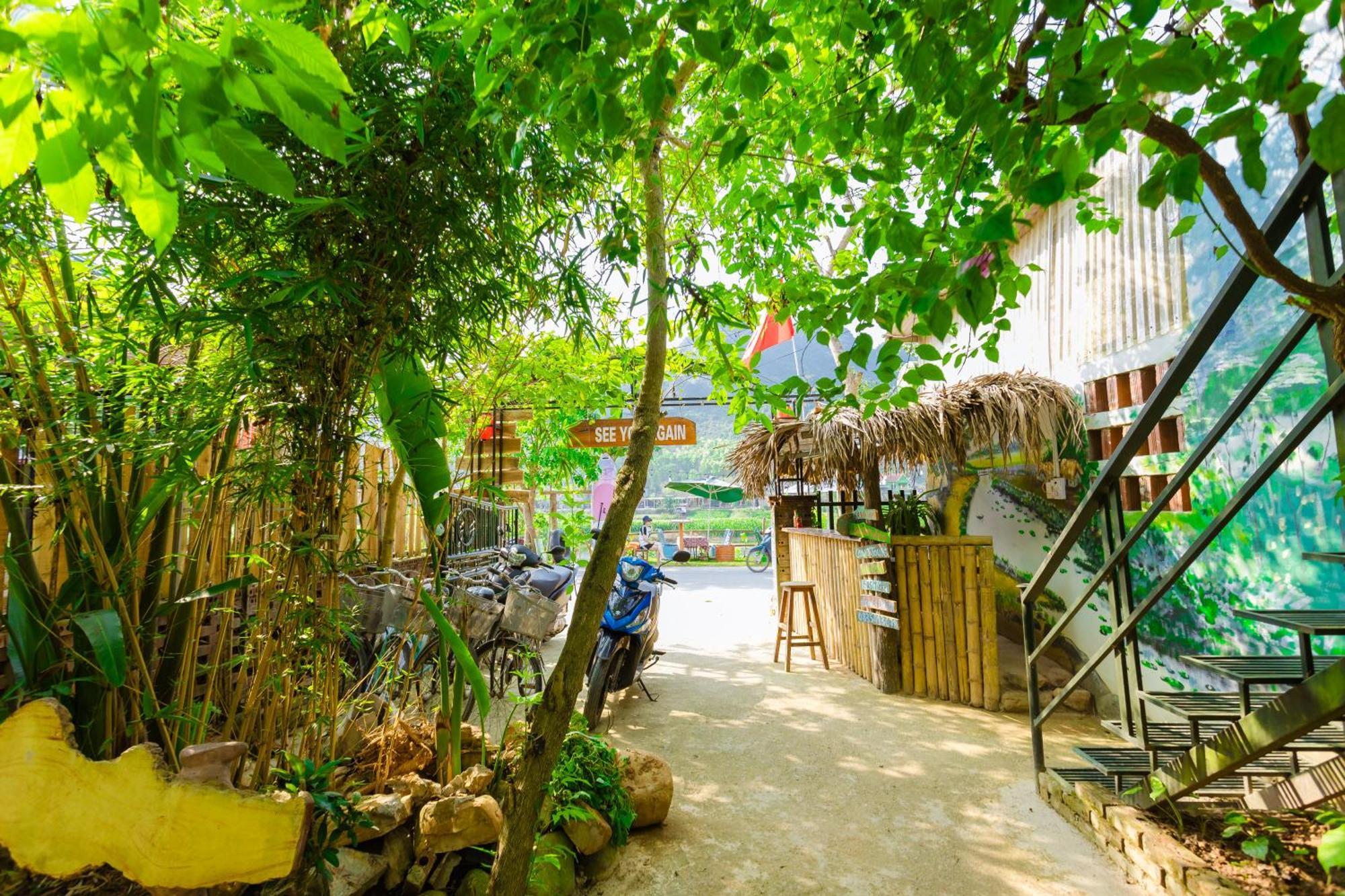 Son River Homestay Phong Nha Eksteriør bilde